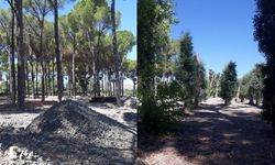 Dalaman’da sığla, çam ve okaliptüslerin arasına beton döküldü