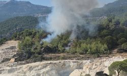Milas’ta orman yangınına havadan ve karadan müdahale