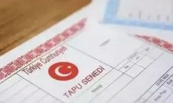 Miras paylaşımında kardeş kavgası bitiyor! Uzman isim açıkladı