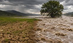 El Niño yıl sonunda zirveye ulaşacak: Dev iklim olayının Türkiye'ye etkileri neler olacak?
