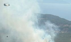 Bodrum’da orman yangını: Ekipler havadan ve karadan müdahalede