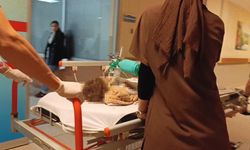 Melis bebek 2'nci yaş gününe 6 gün kala hayatını kaybetti
