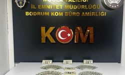 Bodrum’da sahte dolar operasyonu: 462 banknot ele geçirildi