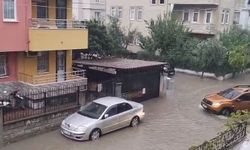 Fethiye'de sağanak felaketi: Evler ve seralar sular altında