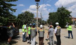 Milas’ta göçmen kuşlar için elektrik hatlarına yeni önlemler