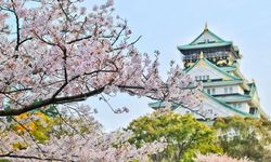 Japonların uzun yaşam sırrı: İkigai