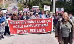 Danıştay’dan Akbelen kararı: 679 parsel için dava reddedildi