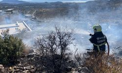 Bodrum’da makilik yangını korkuttu!