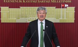 Metin Ergun zeytinyağı ihracatındaki düşüşü Meclis’e taşıdı