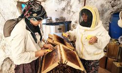 Muğla’da arıcılardan tepki: "Çam balı değerini bulamıyor"