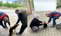 Ortaca’da iki mahallede kedi ve köpeklere kuduz aşısı