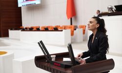 Fon krizinde Gizem Özcan’dan Meclis’e araştırma çağrısı