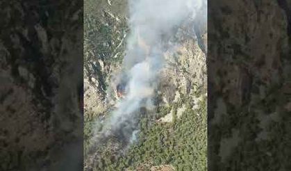 Ören'deki yangını kontrol altına alma çalışmaları devam ediyor