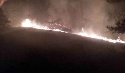 Köyceğiz'de gece 3 ayrı noktada çıkan orman yangını korkuttu