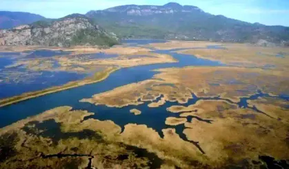Dalyan'ın Sazlıkları: Doğanın Sırlarını Saklayan Bir Labirent