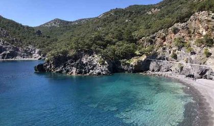 Keşfedilmemiş Cennet: Aşı Koyu'nun Büyüleyici Güzelliği