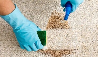 Halı nasıl temizlenir?