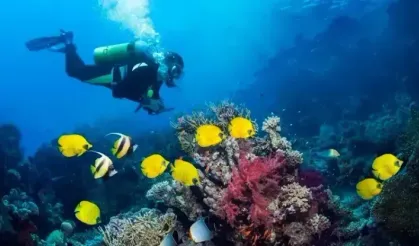 Marmaris’ Mesmerizing Underwater Wonders: A Diver’s Paradise in Turkey