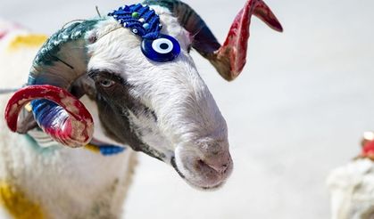 2026 Kurban Bayramı tatili 9 gün olacak mı, bayram hangi güne denk geliyor?