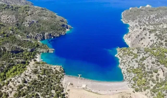 Bodrum’un Saklı Cenneti: Kargıcak Koyu Nerede, Nasıl Gidilir?