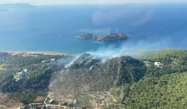 Ortaca'da ziraat alanında başlayan yangın ormanlık alana sıçradı