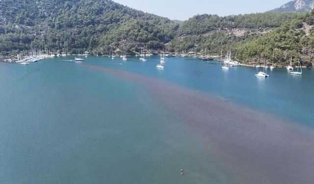 Yerli ve yabancı turistin gözdesi: Kızkumu Plajı