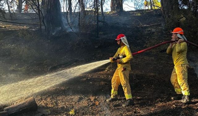 Seydikemer’de Orman Yangınına Hızlı Müdahale