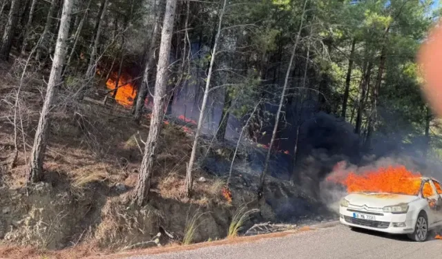 Dalaman'da ormana sıçrayan yangın söndürüldü