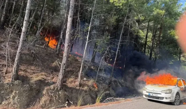 Dalaman'da araç yangını ormana sıçradı