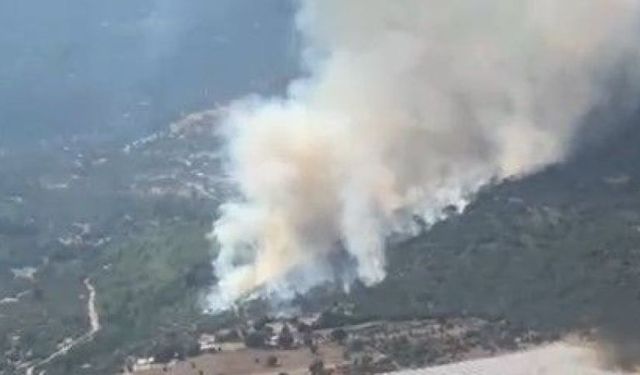 Seydikemer'de orman yangını