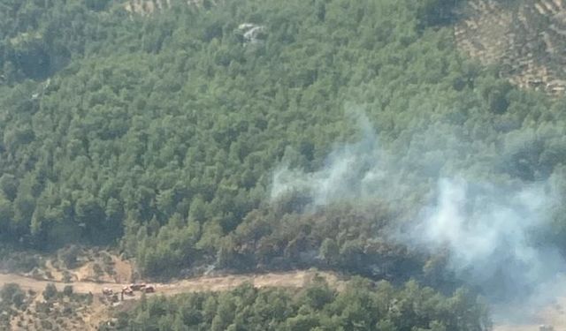Seydikemer'de orman yangını kontrol altına alındı