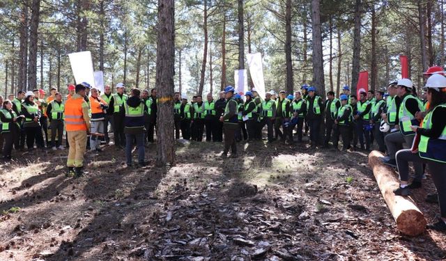 Aydın ve Milas Orman İşletmeleri Üretim Tatbikatında Bir Araya Geldi