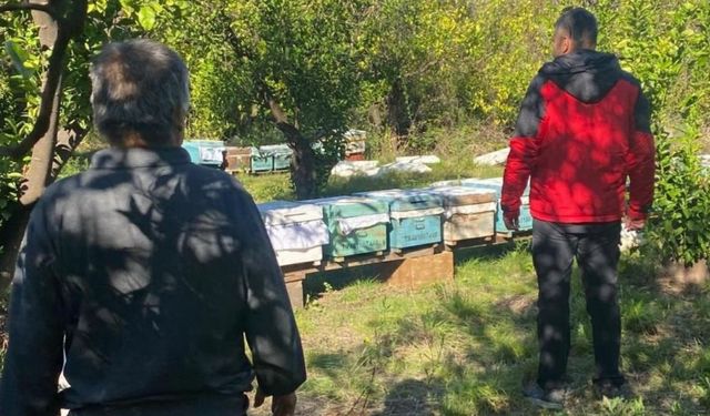 Ortaca’da arılı kovan desteklemeleri devam ediyor