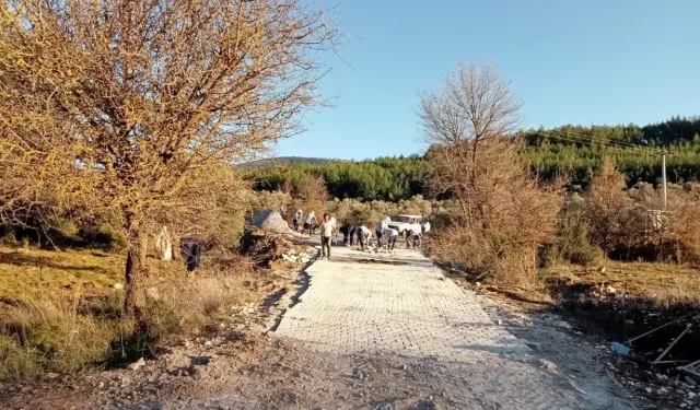 Yatağan’da Kurt Dehşeti: Dağlarda Otlayan Hayvanları Parçaladılar!