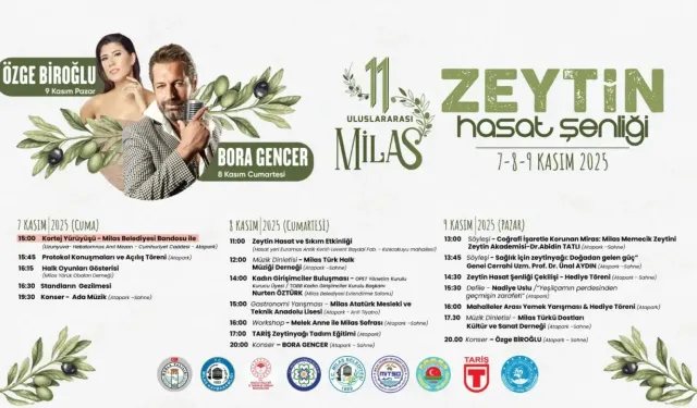 Milas’ta Zeytin Hasadı Şenlikle Kutlanacak