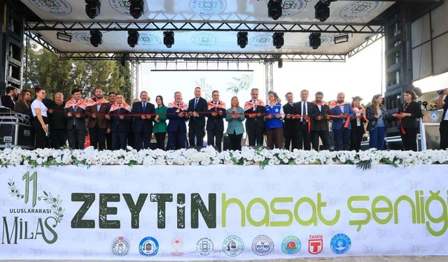 Milas'ta geleneksel zeytin hasadı coşkuyla kutlandı