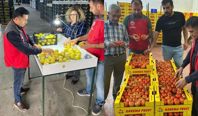 Ortaca'da ihracata giden ürünlere onay