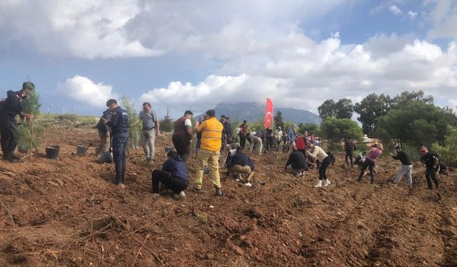 Datça’da fidanlar toprakla buluştu