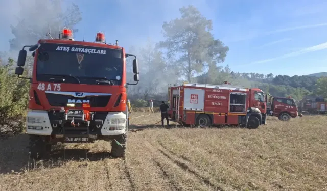 Yatağan’daki iki ayrı arazi yangını büyümeden söndürüldü