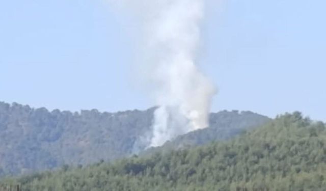 Seydikemer'de orman yangını