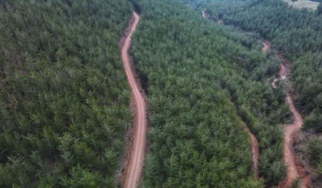 Fethiye’de çıntar toplamaya giden şahıs bulundu