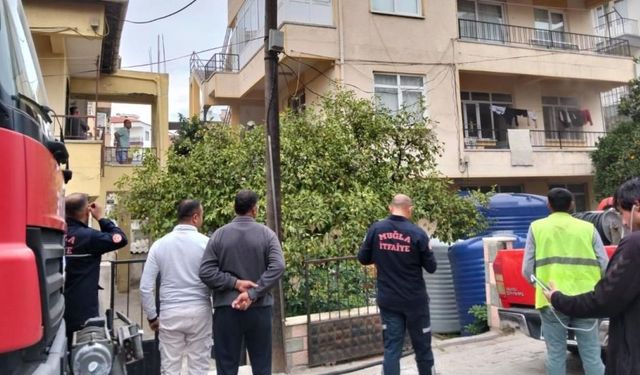 Milas'ta Ocakta Unutulan Yemek Yangına Neden Oldu: 2 Kedi Telef Oldu