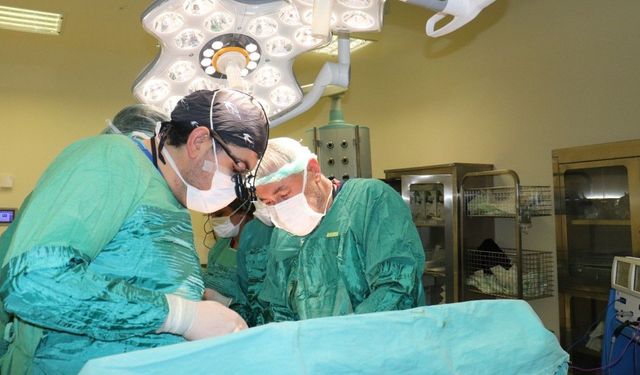 Hasta kadının karnından 15 kilo tümör çıkarıldı