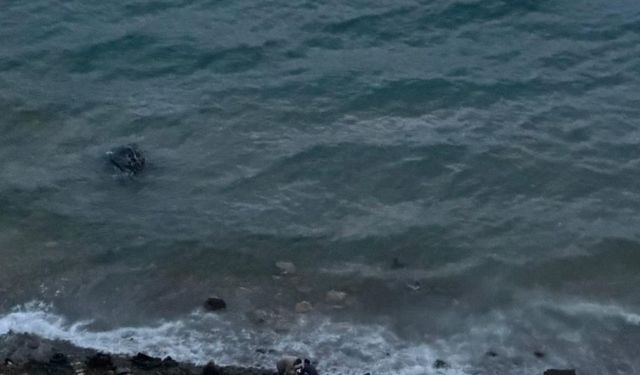 Datça’da Araç Denize Uçtu: 1 Kişi Yaralandı