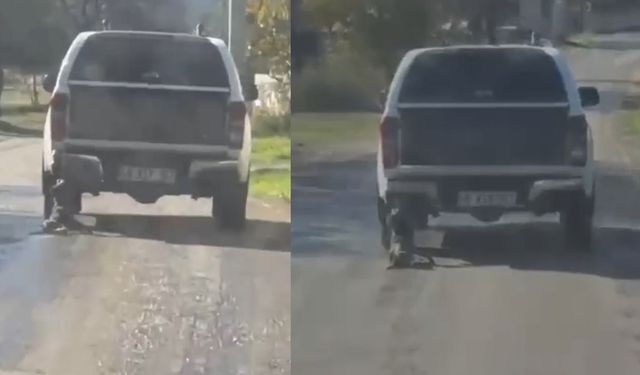 Milas’ta Köpeği Araca Bağlayıp Sürükleyen Şüpheliler Yakalandı