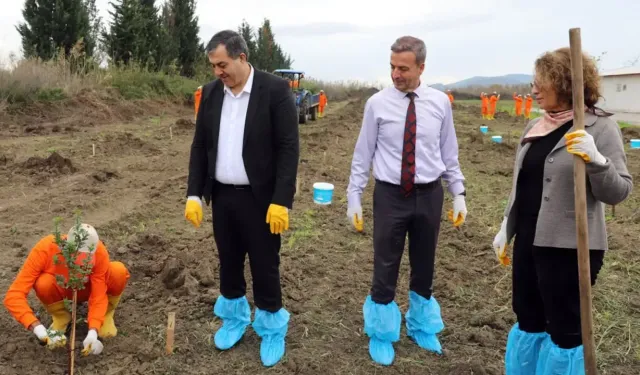 Dalaman Açık Ceza İnfaz Kurumunda 10 dekar alana Sakız ağacı fidanı dikildi