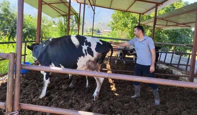 Milas’ta 12 mahalle karantinaya alındı