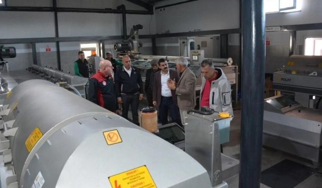 Köyceğiz Kaymakamı Kumcu, zeytinyağı fabrikasında inceleme yaptı