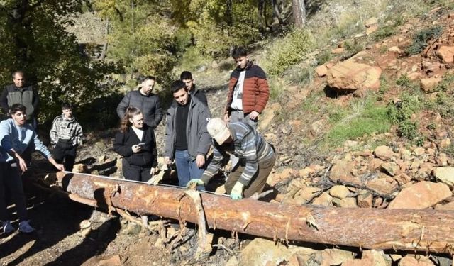 Köyceğiz’de Ormancılık Yüksek Okulu öğrencileri saha uygulamalarına katıldı