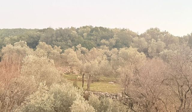 Tarlada aniden fenalaşan bir kişi hayatını kaybetti